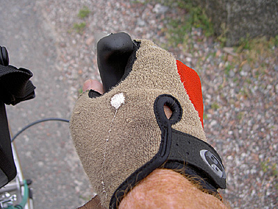 Seagull poop on cycling glove