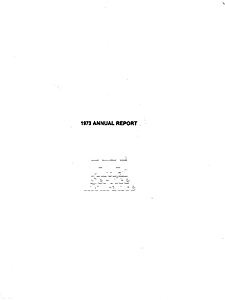 MSI 1973 Annual Report cover
